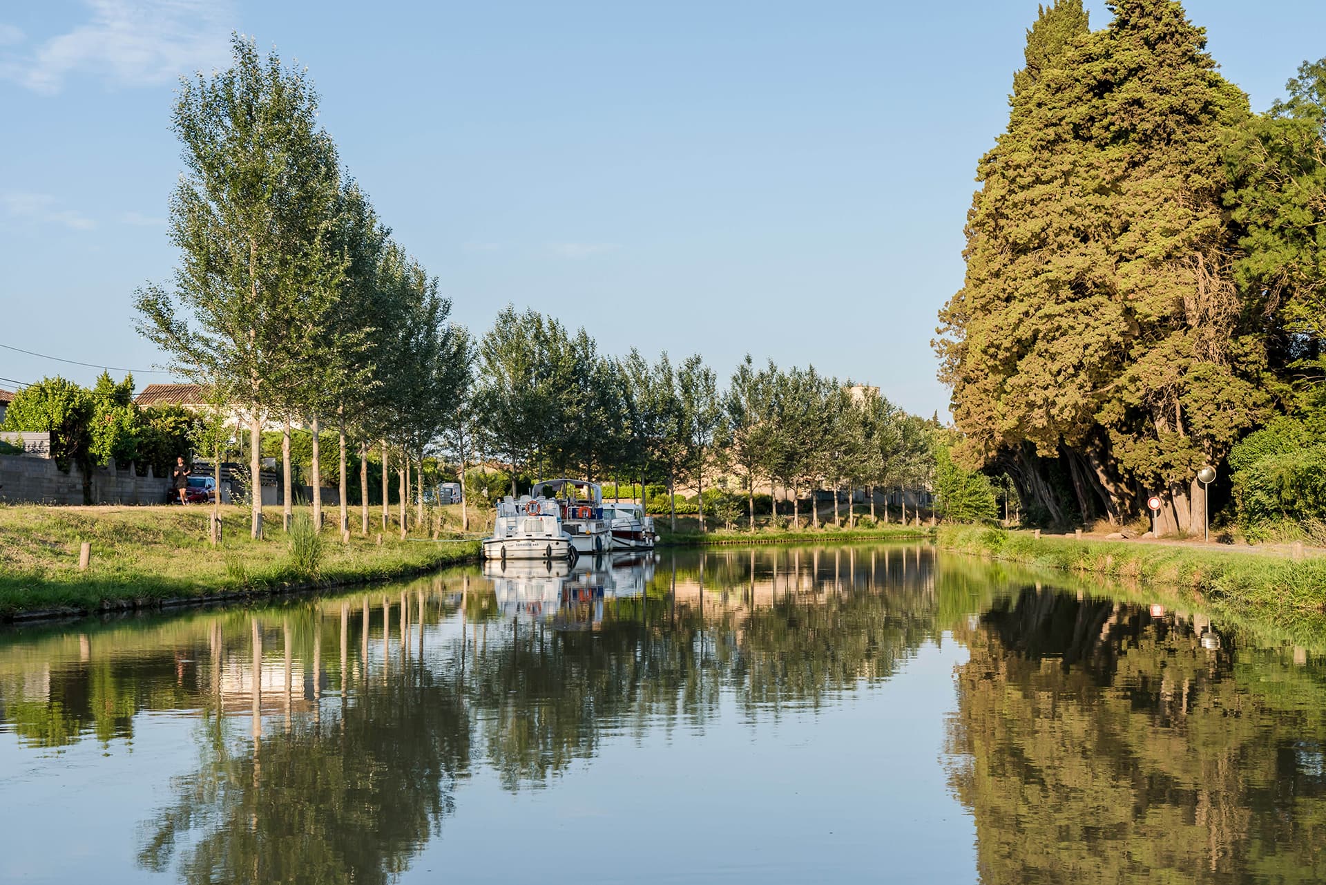 Nouvelles plantations © VNF, Sylvain Cambon canal du Midi avec bateau et nouvelles plantations